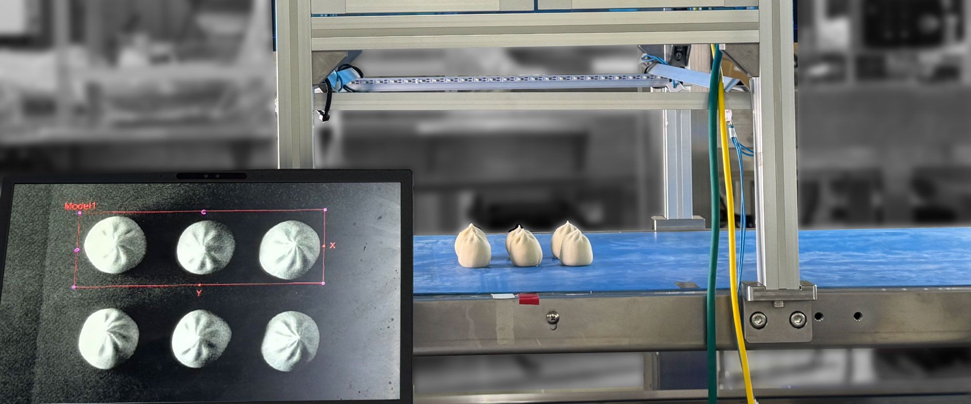 Food Industry Vision Positioning System